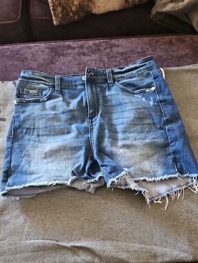 Judy Blue Distressed Frayed Hem Denim Shorts - Blue